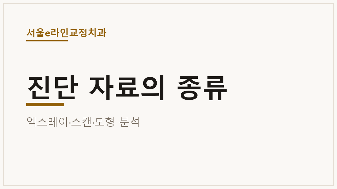 진단 자료의 종류