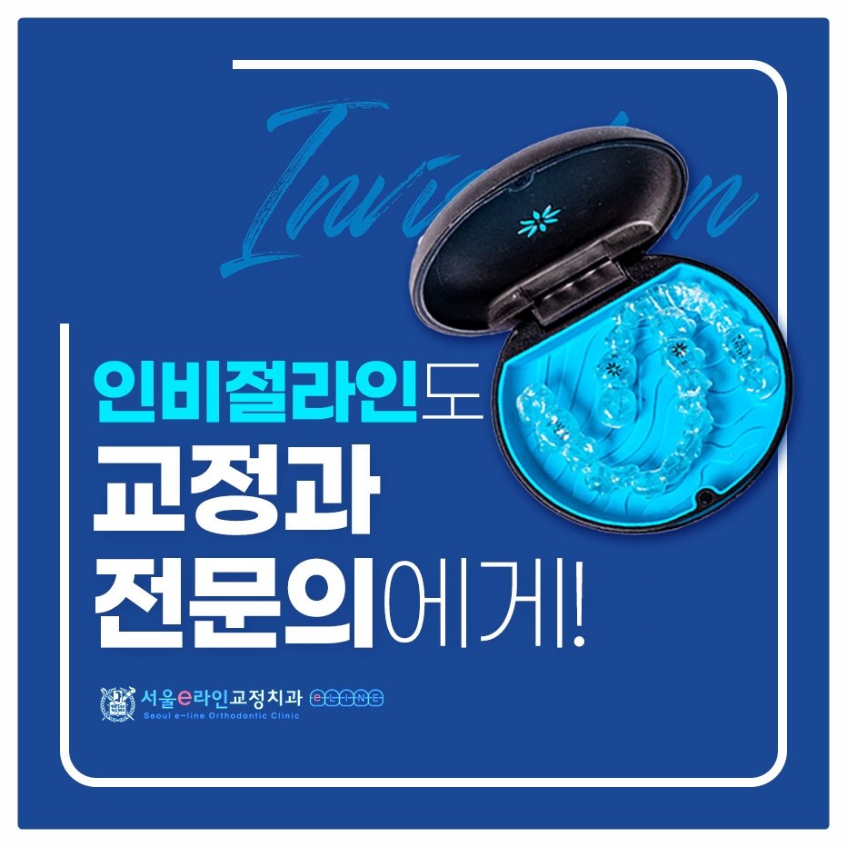 투명교정 장치 보관 케이스