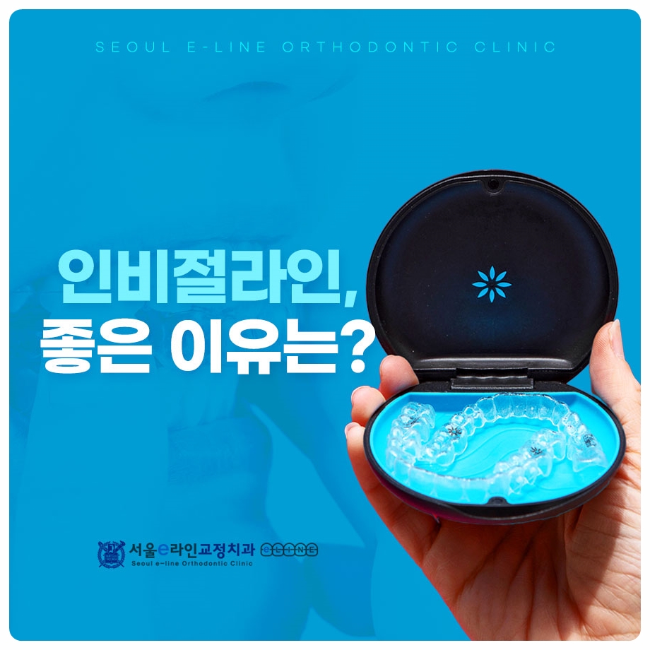 케이스 든 손