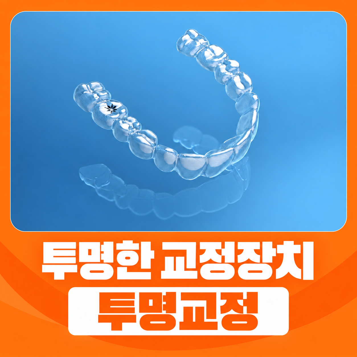 투명교정